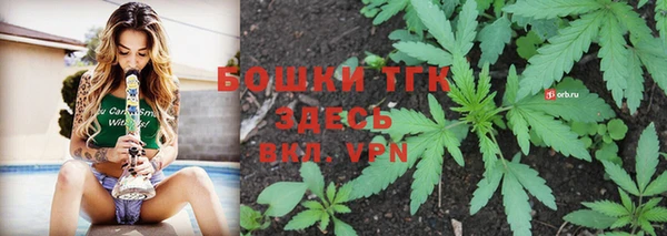 сатива Переславль-Залесский