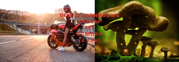 мескалин Пестово