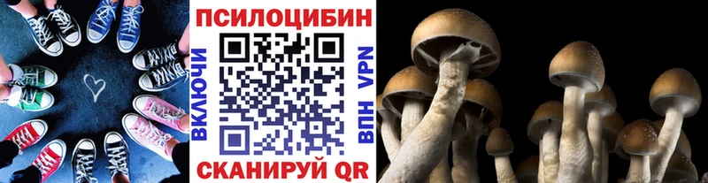 Псилоцибиновые грибы мицелий  Купить где  Серафимович 